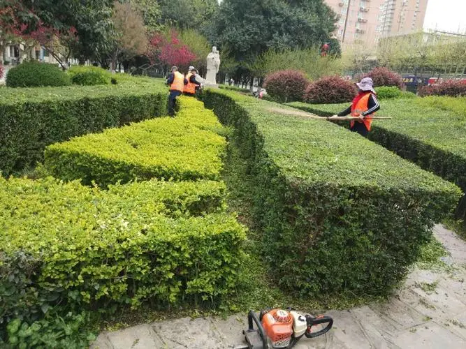 天津城市绿化补偿标准