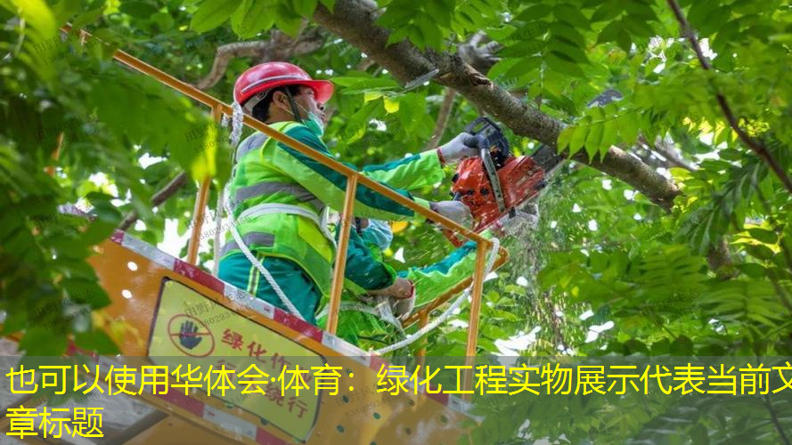 绿化工程实物展示