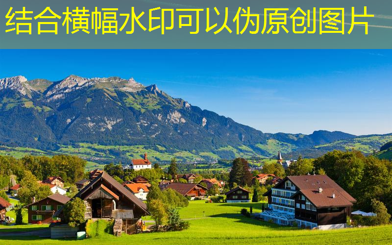 乡镇政府后院绿化工程