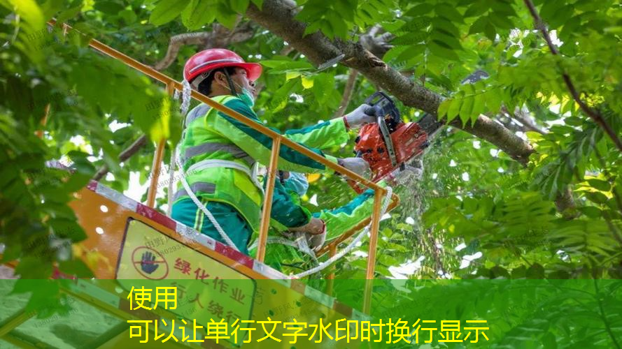 别墅园林景观设计带楼梯
