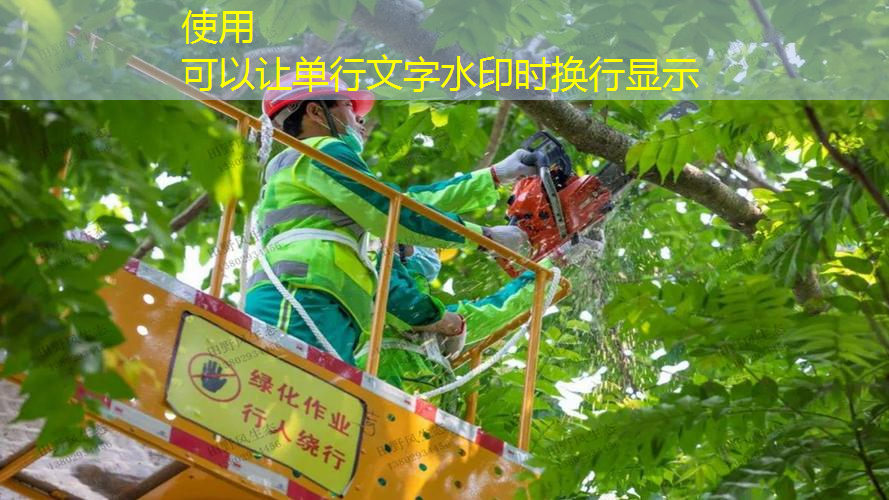 家庭阴面园林景观设计