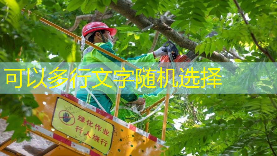 珠海花园园林绿化工程资料