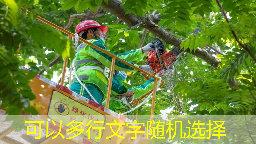 社区绿化工程团队