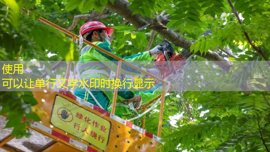 【心希望·心科普】——园艺疗法