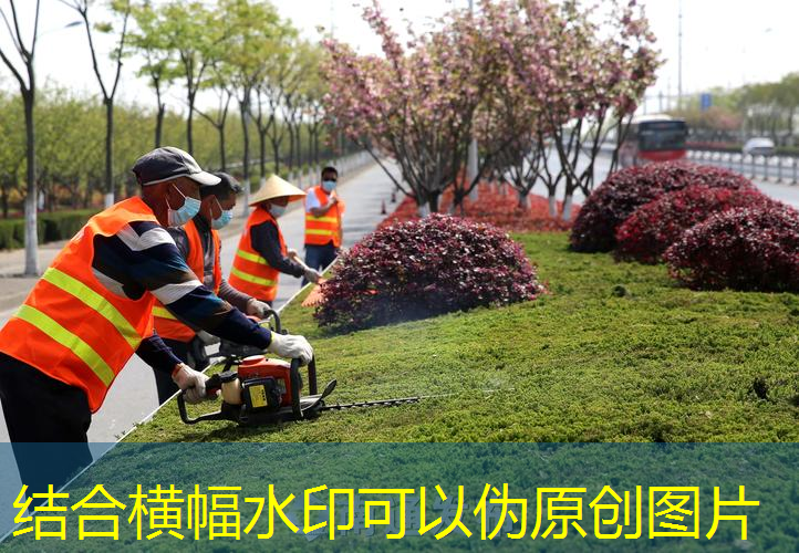润金花园2期绿化工程