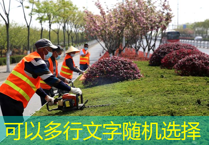 遵义小区最美绿化工程